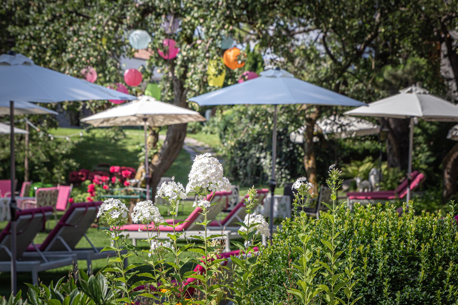 Schwarz Hit im Mai image 5 - Alpenresort Schwarz