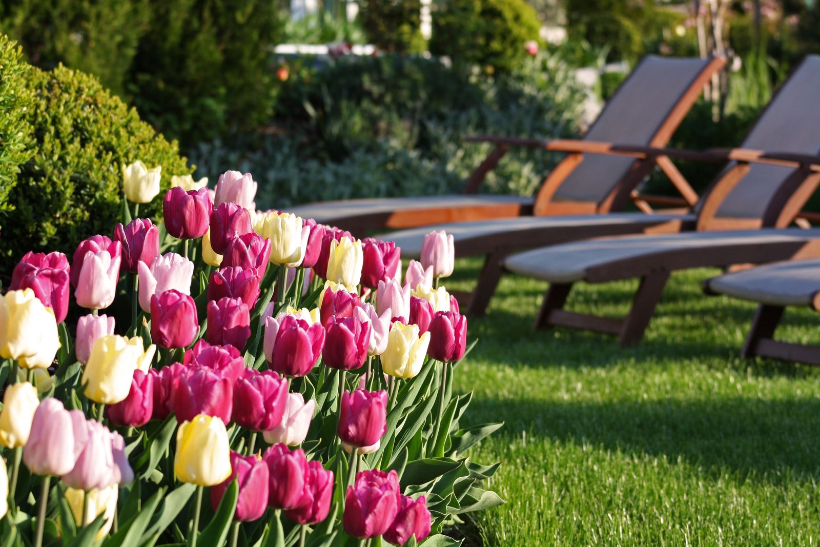 Wellnessclubwoche für Clubmitglieder Frühling 2027 image 1 - Alpenresort Schwarz