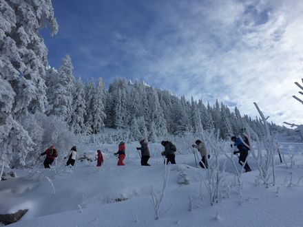Angebot: Schneeschuh-Touren im Allgäu - Das Rübezahl