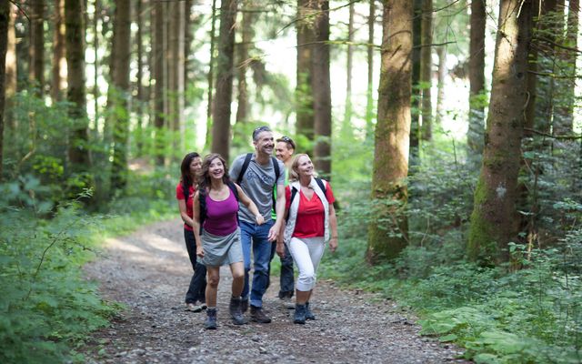 Offerdetails Hiking experience in Oberstaufen | 7 nights image 2 - Rosenalp Gesundheitsresort & SPA