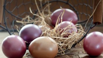 Ostern im "Grünen Wald"