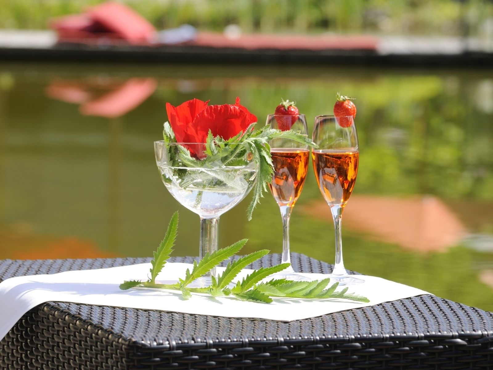 Romantik-Suite mit Balkon inklusive Wellnessgarten und Frühstücksbüffet image 7 - Hotel Wellnessgarten