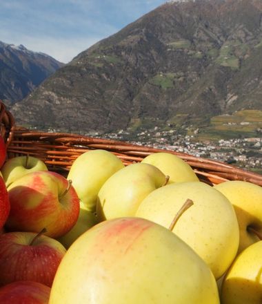 Angebot: Apfelwoche im September - Familienhotel in Südtirol Prokulus, Trentino-Südtirol