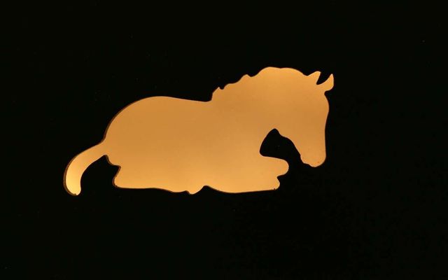 Unterkunft Zimmer/Appartement/Chalet: Familienzimmer Pferd und Schaf