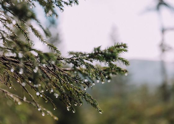 Sostenibilità - Das Naturhotel Chesa Valisa****s