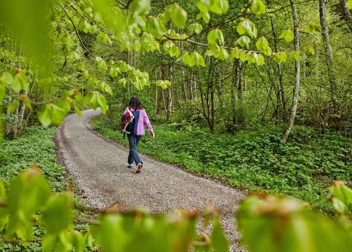 BIO HOTEL Eggensberger: Wandern in der Natur - Biohotel Eggensberger, Füssen - Hopfen am See, Allgäu, Bayern, Deutschland