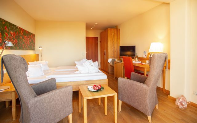 Accommodation Room/Apartment/Chalet: Classic double room