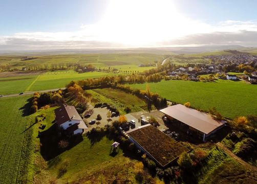 BioWeingut & Landhotel Gänz, Hackenheim, Renania-Palatinato, Germania (25/29)