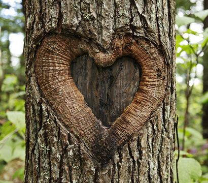 Wellness- & Aktivhotel Bodenmaiser Hof: Heimat.Woche