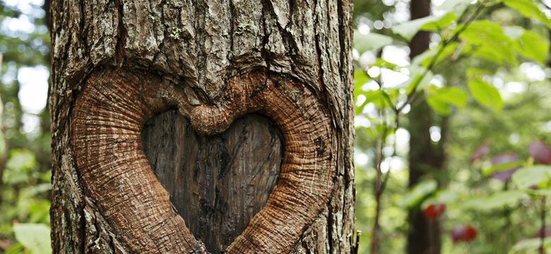 Wellness- & Aktivhotel Bodenmaiser Hof: Heimat.Woche