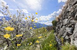 Landhotel Anna & Reiterhof Vill, Schlanders, Vinschgau, Trentino-Alto Adige, Italy (15/30)