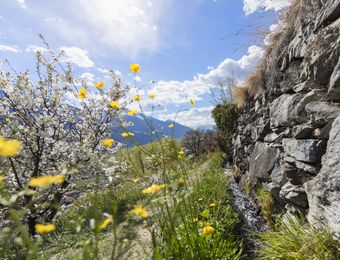 Offerte Top: Settimana escursionistica primaverile - Landhotel Anna & Reiterhof Vill