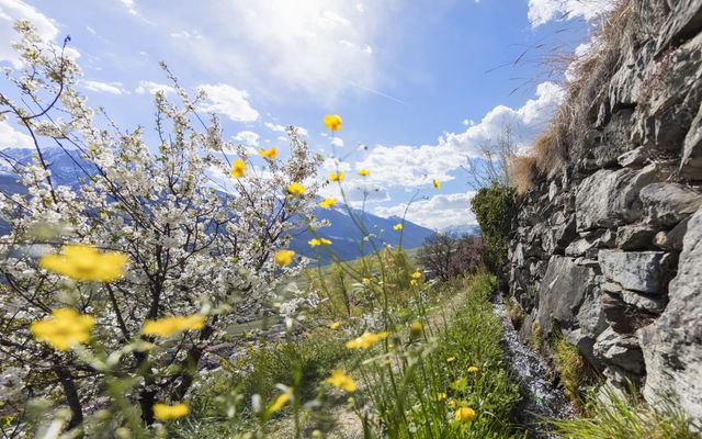 Landhotel Anna & Reiterhof Vill: Spring hiking week in South Tyrol