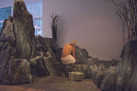 Journées dépuratives