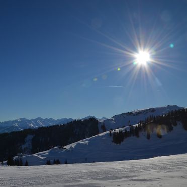 Winter, Auhofalm, Jochberg, Tirol, Tirol, Österreich