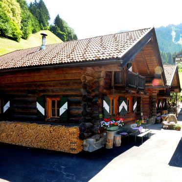 , Andreas-Hofer Hütten, Mayrhofen, Tirol, Tyrol, Austria