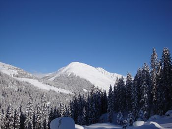 Kaiser-Franz-Josef Hütten - Tirol - Österreich