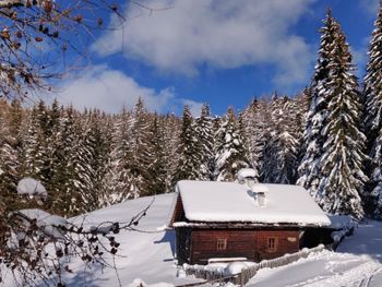 Reh's Wiesen Hütte - Trentino-Alto Adige - Italy