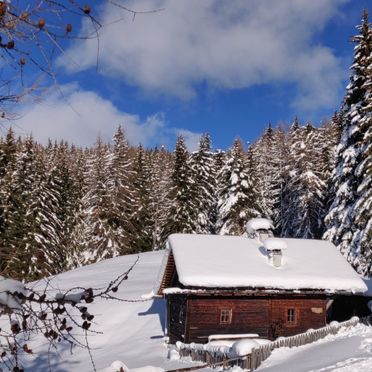 Winter, Reh's Wiesen Hütte, Lüsen/Brixen, Südtirol, Trentino-Alto Adige, Italy