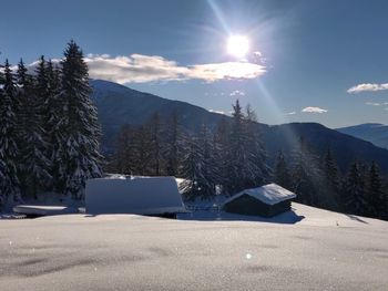 Reh's Wiesen Hütte - Trentino-Südtirol - Italien