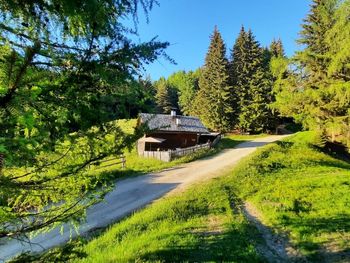 Reh's Wiesen Hütte - Trentino-Südtirol - Italien