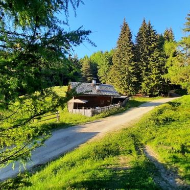 Sommer, Reh's Wiesen Hütte, Lüsen/Brixen, Südtirol, Trentino-Südtirol, Italien