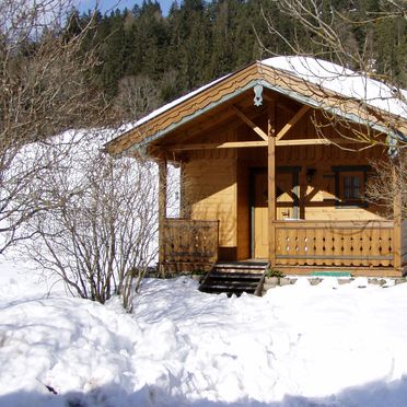 Winter, Zirbenhütte, Forstau, Salzburg, Salzburg, Austria