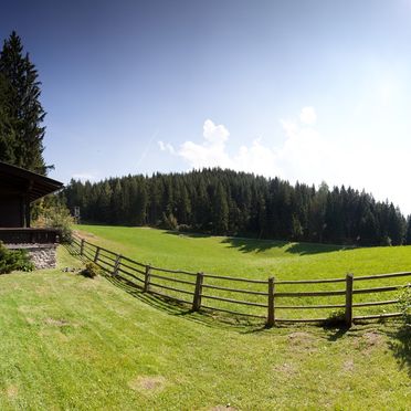 Sommer, Steindl Häusl, Reith, Tirol, Tirol, Österreich