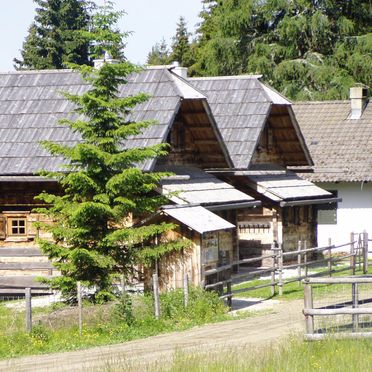 Rueckansicht1, Alpine-Lodges Matthias, Arriach, Kärnten, Kärnten, Österreich