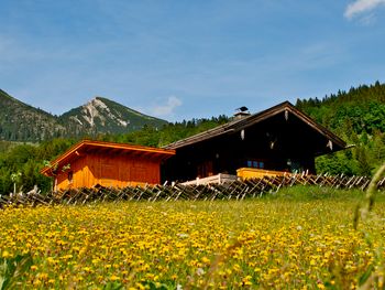 Oberholzerhütte - Salzburg - Austria