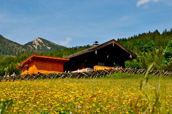 Summer, Oberholzerhütte, Unken, Salzburg, Salzburg, Austria