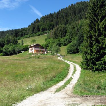 Umgebung, Maso Alice, Cinte Tesino, Trentino, Trentino-Südtirol, Italien