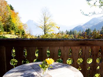 Kuschelhütte - Oberösterreich - Österreich