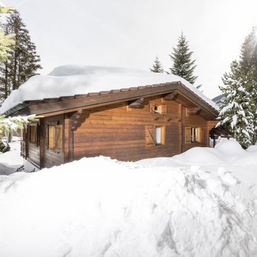 Winter, Alpen-Chalets Achensee, Maurach am Achensee, Tirol, Tirol, Österreich