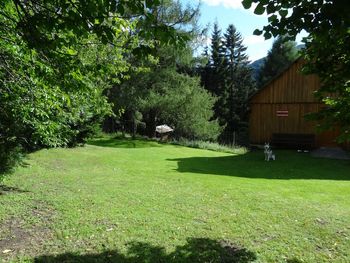 Pirschhütte - Styria  - Austria