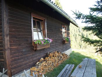 Zirbenwaldhütte - Styria  - Austria