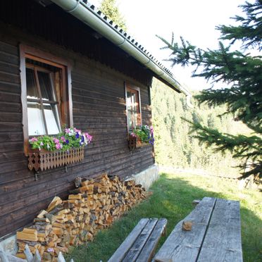 Sommer, Zirbenwaldhütte, Mühlen, Steiermark, Steiermark, Österreich