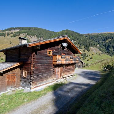 Sommer, Radlehenhütte, Großarl, Salzburg, Salzburg, Österreich