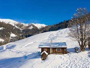 Hungarhub Hütte - Salzburg - Österreich