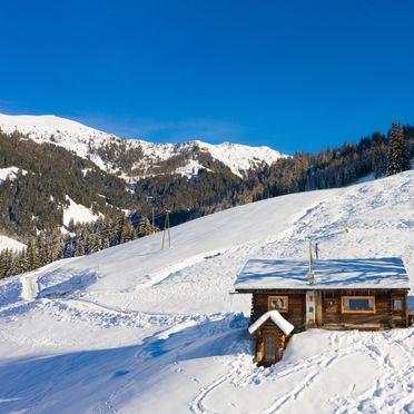 Winter, Hungarhub Hütte, Großarl, Salzburg, Salzburg, Österreich