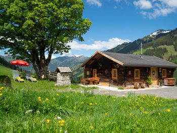 Hungarhub Hütte - Salzburg - Austria