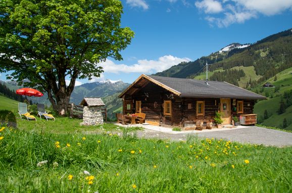 Summer, Hungarhub Hütte, Großarl, Salzburg, Salzburg, Austria