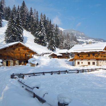 , Chalet Kleinbretteneben, Großarl, Salzburg, Salzburg, Austria