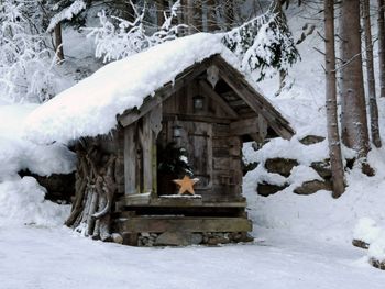 Forsthaus Daringer - Tirol - Österreich