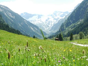 Ferienhaus Stillupp - Tirol - Österreich