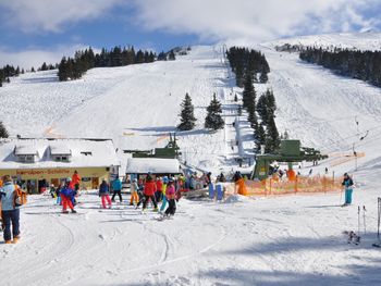 Almliebe-Feriendorf Koralpe - Carinthia  - Austria