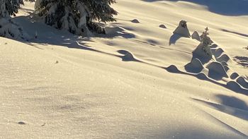 Snowy weeks