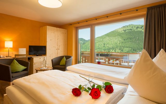Accommodation Room/Apartment/Chalet: Double room "stone pine & clay"