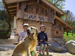 Hüttenurlaub mit Hund