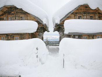 Alpine-Lodges Lisa - Carinthia  - Austria